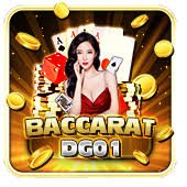 t7 bet t7 bet
